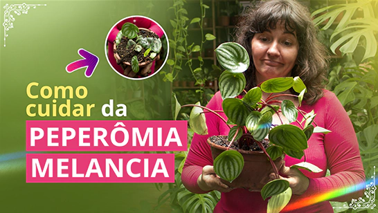Angela Cristina Vogt, Fundadora da Flor de Camomyla
